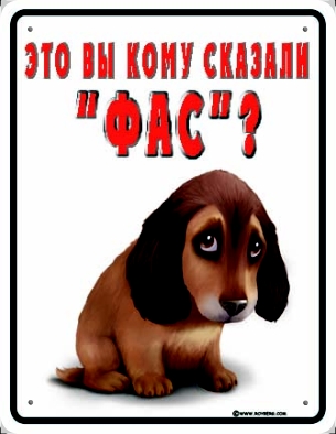 ПРИКОЛЬНАЯ СОБАКА